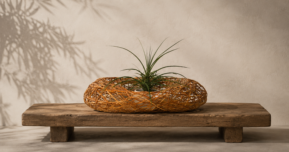 The Basket That Changed Everything-Sotto Studio